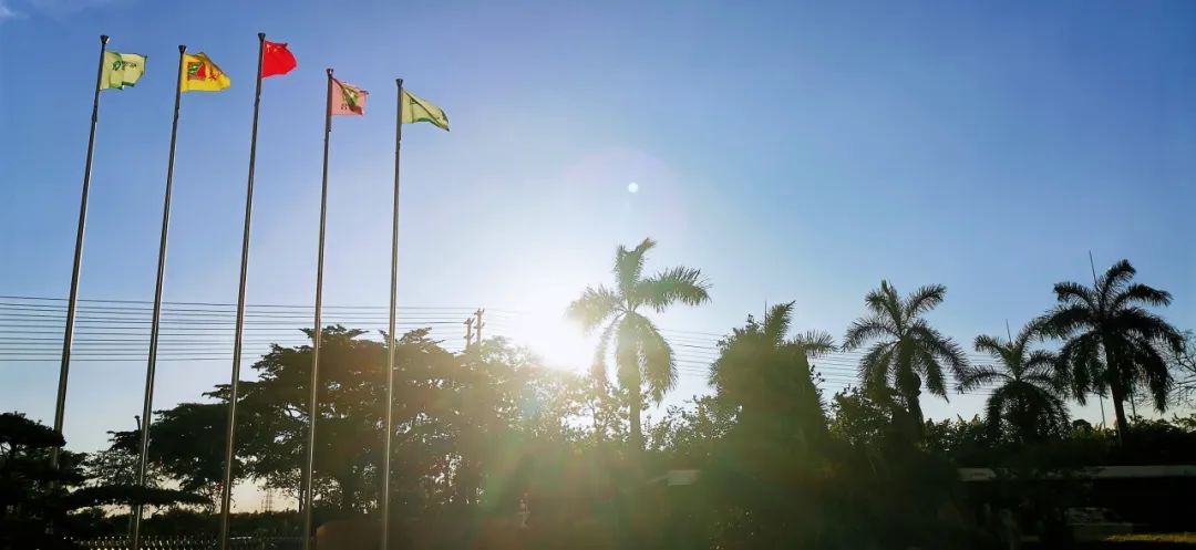 小暑 |小暑虫鸣夏日长，心静气和自清凉